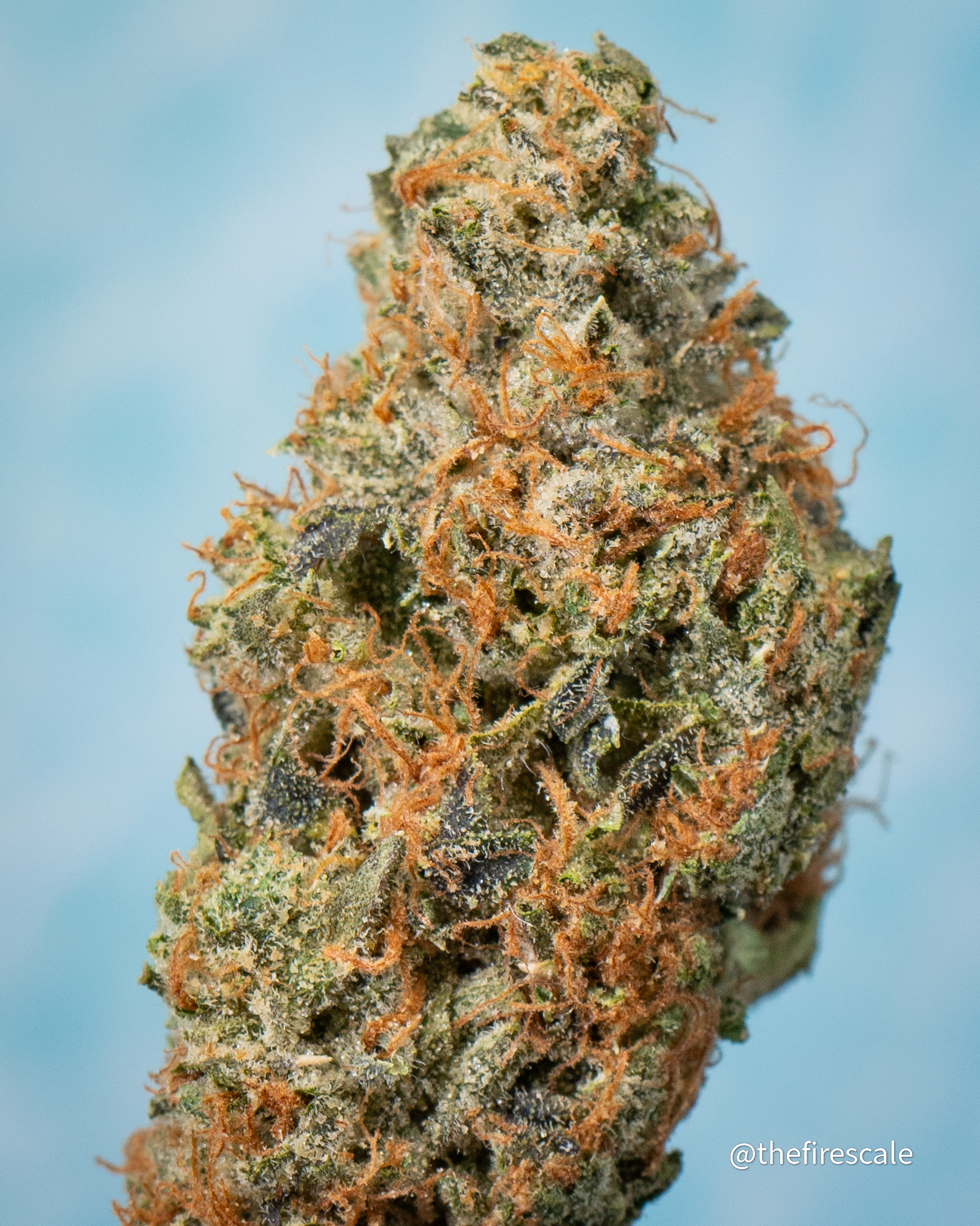 Sour Skittles (Top Shelf) - Vallejo Holistic Health Center (VHHC) - Medical  Marijuana Menu - Medicinal Cannabis Pot Weed Directory
